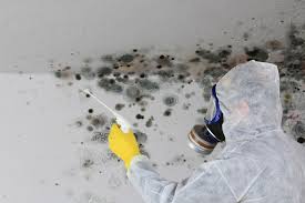 Best Mold Prevention Services  in Granite Bay, CA